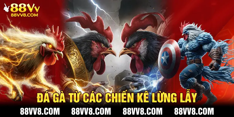 Đá gà là nơi thể hiện kỹ năng từ các chiến kê lừng lẫy